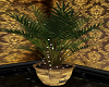 Sepia / Plant 1
