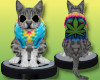 *AxA*420 Roomba Cat