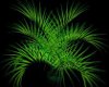 Animated Palm Plant