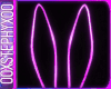 |S| Neon Bunny Ears II