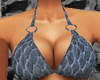 *-*Silver Bikini