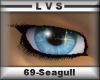 LVSPARKLEIs-Seagull