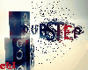 DUBSTEP DROP BEATS P3