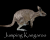 Ride a Kangaroo