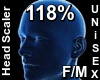 F/M Head Scaler 118%