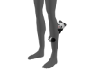 Il Raccoon On Leg