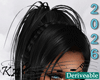 Raven Balayage Dominiqe