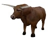 Toro Bull