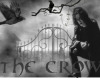 the crow