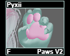 Pyxii Paws F V2