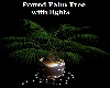 Plant PottedPalm wLights