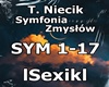 T.Niecik-Symfonia...