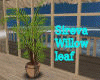 Sireva Willow leaf