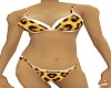 3 Month Leopard Bikini