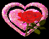 Rose in glit heart