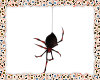 (SS)Hanging Spider