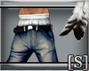 [S]JeanShorts