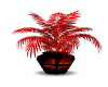 red plant