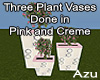 Bougainvilla Plant Vases