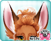 [Nish] Fox Ears