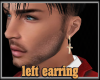 Left Earring