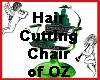 Hair Cutting Chair of OZ