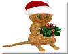 Christmas Kitten & Gift