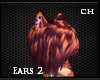 [CH] Tr/Or Ears 2