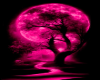 Pink Full Moon Bg