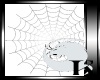 [K] Spiderweb