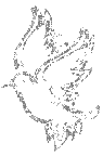 sticker_29538802_41022456