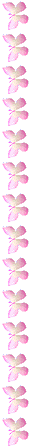 adesivo_74036391_184
