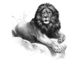 sticker_26149209_47565676