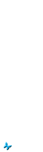 adesivo_41616695_6
