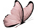 Abziehbild_126953863_25