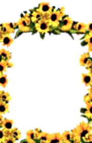 Abziehbild_380305904_10