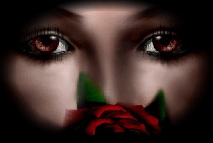 sticker_2316863_3239648