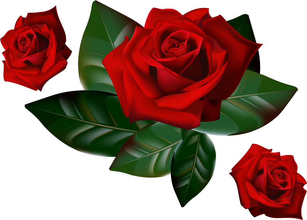 adesivo_45248912_85