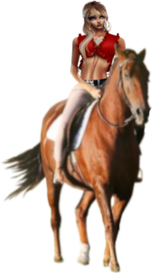 sticker_35175021_251