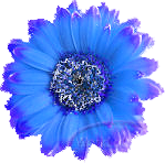 Abziehbild_377055827_3