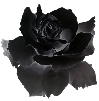 sticker_16706906_45330250