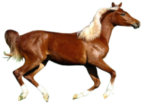 sticker_254776407_16