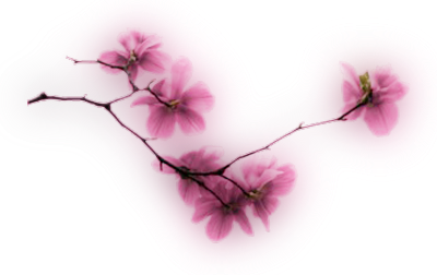 sticker_123128042_16