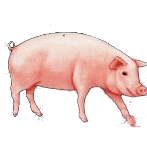 sticker_372850607_21