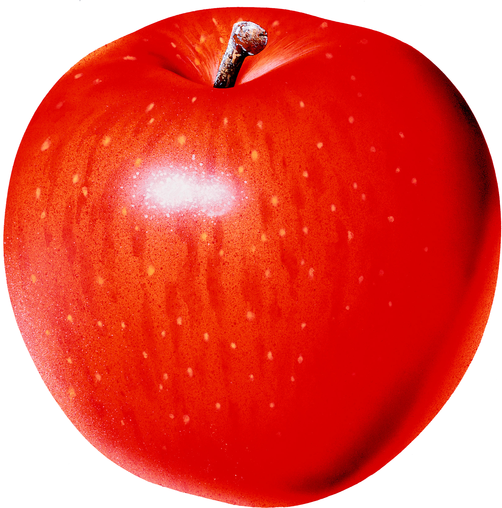 sticker_260383880_118