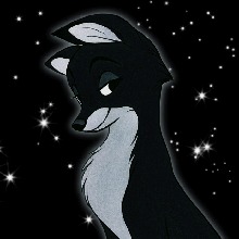 صورة الـavatar