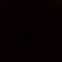 Guest_Imkaydencheck