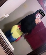 Guest_BIGOG5468