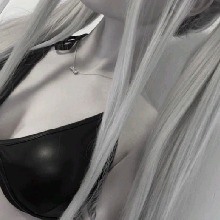Guest_Jessi988778