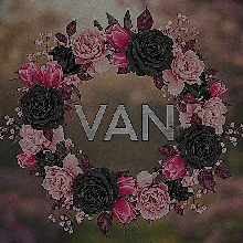VanitySanitey